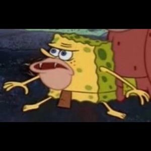 Meet your Posher, Joey